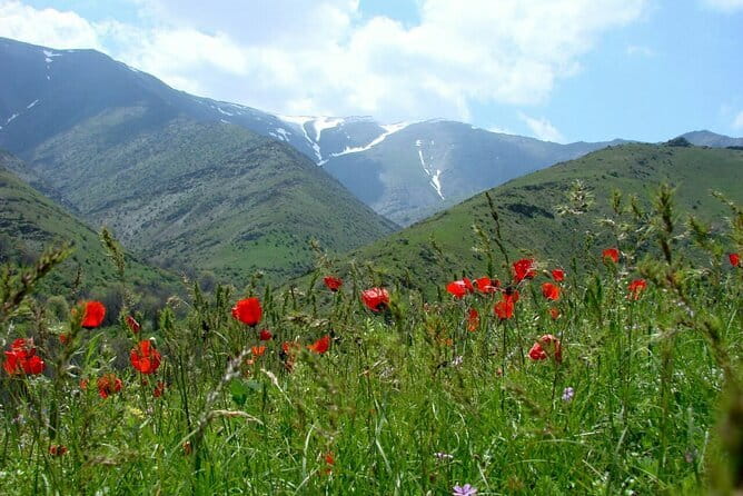 1 Day Tour to Shakhrisabz: Motherland of Amir Temur - The return to Samarkand and tandoor-gush