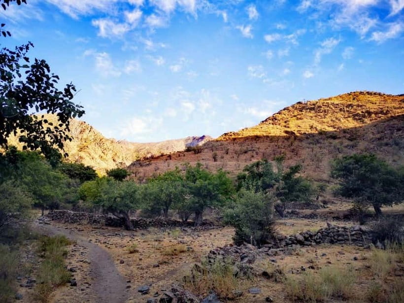 2-Day Nuratau Mountain Tour to Sentob Village from Bukhara. - Sarmishsoy Gorge and its ancient petroglyphs