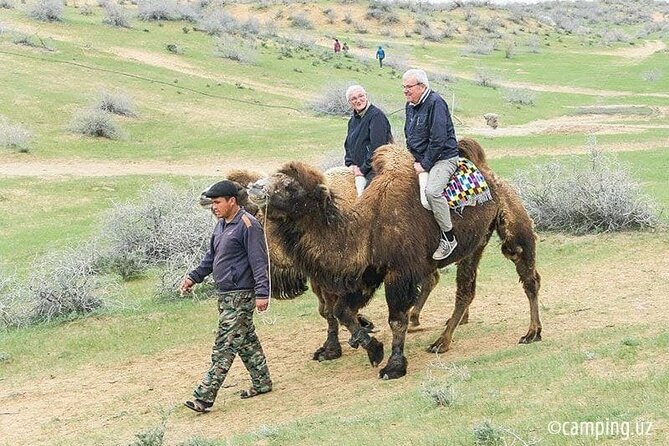 2 Days of Tour in Yurt Camp and Aydarkul - The Second Camel Ride and the Road Toward Bukhara