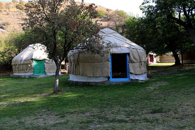3-Day Yurt Stay, Hiking & Lake Aydarkul Tour - Day one: from Bukhara to Nurata and Chashma