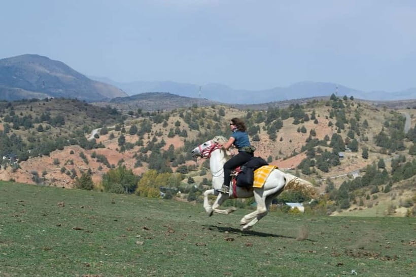 Amirsoy, Chimgan & Charvak Full-Day Adventure - Who will enjoy this mountain escape