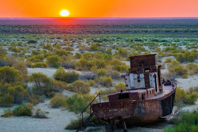 Aral Sea One Day Tour from Tashkent - Why this Aral Sea trip is worth your time