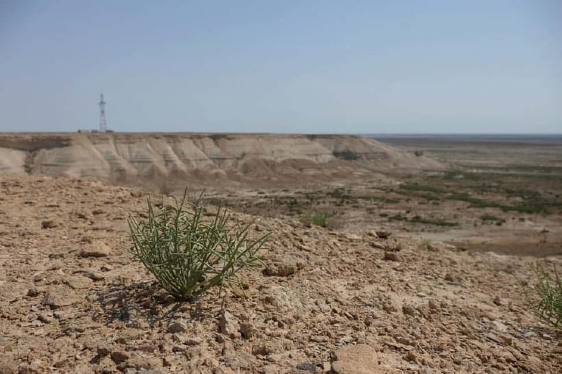 Aral Sea Tour from Nukus 1 night / 2 days - The long return through Kurgancha Kala and Sudochie Lake
