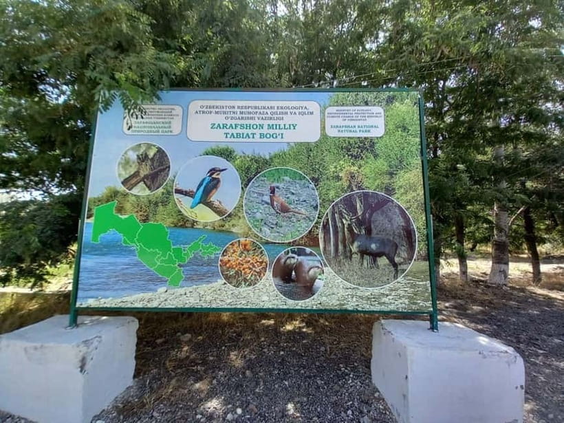 Bird Watching Tours in Samarkand - What kind of birding day is this?