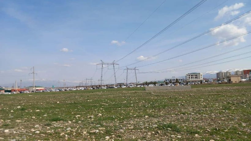 Bird Watching Tours in Samarkand - Aqdarya water reserve near Ishtixan
