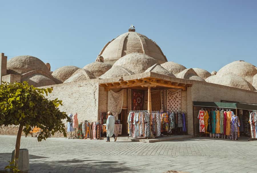 Bukhara: Full-Day Guided Tour with English-Speaking Guide - Starting at Lyabi Khauz