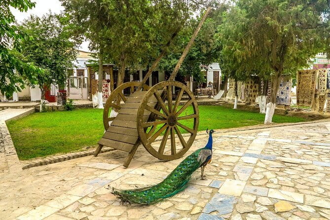 Bukhara: Private Guided Walking Tour with Hotel Pickup - Two madrasahs, two different moods