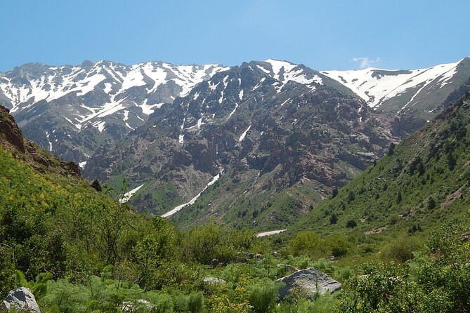 Day Tour to Shahrisabz of Amir Timur - Key points to know before booking