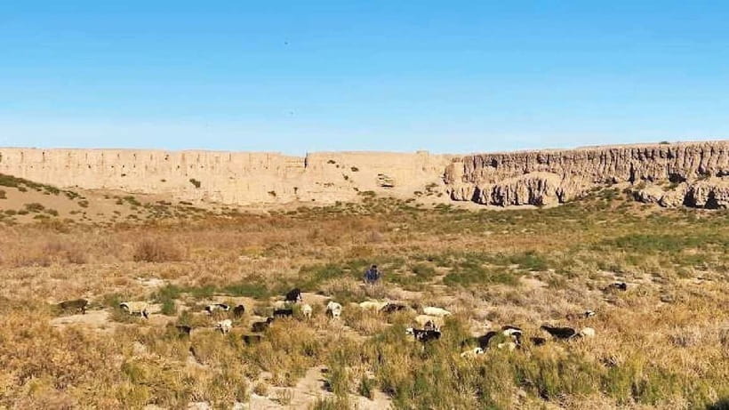 Daytrip from Khiva to Five Ancient Fortresses - The driver question: transport or guided tour?