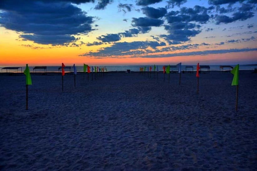 Desert Adventure from Samarkand: Yurt Camp & Aydarkul Escape - From Samarkand to Nurata, the first taste of open country