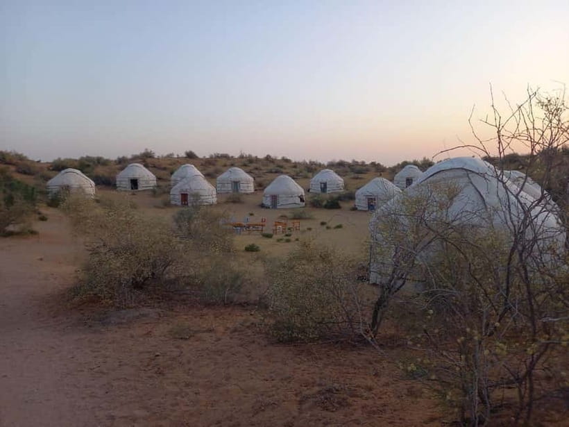Desert Adventure from Samarkand: Yurt Camp & Aydarkul Escape - Camel riding at the yurt camp