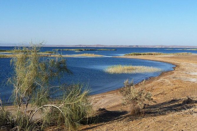 Desert Yurt Camp tour - 2 days (shared) - Nurata, Alexander’s fortress, and a sacred spring
