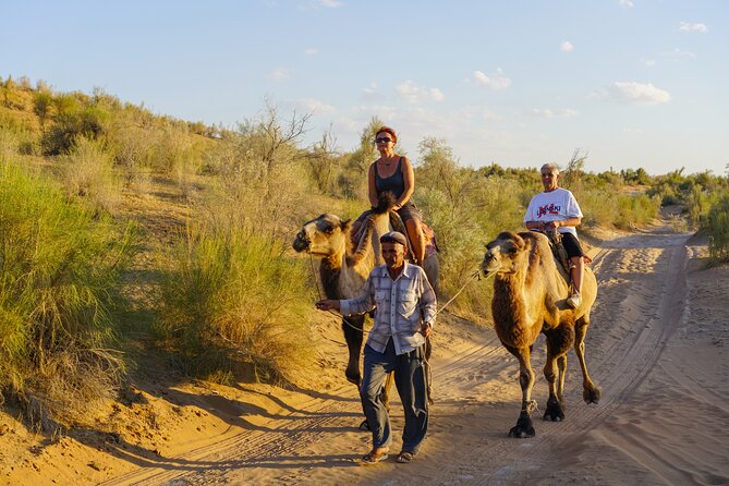 Desert Yurt Camp tour - 2 days (shared) - Firelight, folk music, and the best part of the evening