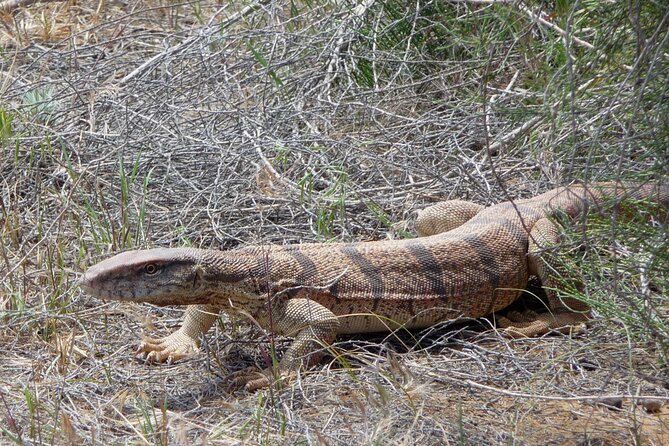 Desert Yurt Camp tour - 2 days (shared) - Aydarkul’s open shores and bird life