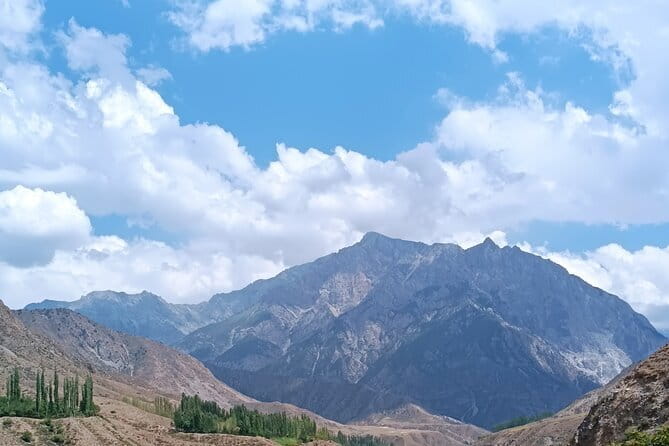 Fergana Valley 2-Day Private Tour - Day one in Kokand: palace tiles and mosque columns