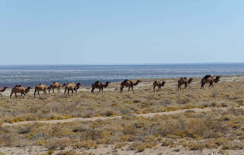 From Khiva To Aral Sea 2-Days One Night In Yurt Stay - Muynak’s Cemetery of Ships