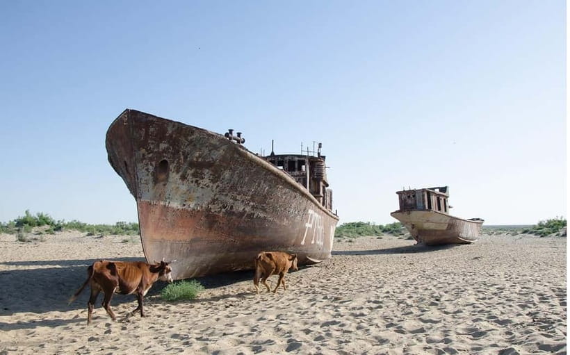 From Khiva To Aral Sea 2-Days One Night In Yurt Stay - Sleeping beside the Aral Sea in a yurt
