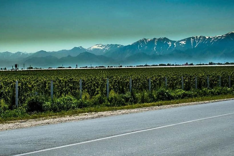 From Samarkand: Shahrisabz Day Trip & Mountain Pass Tour - Why Shahrisabz deserves a day from Samarkand