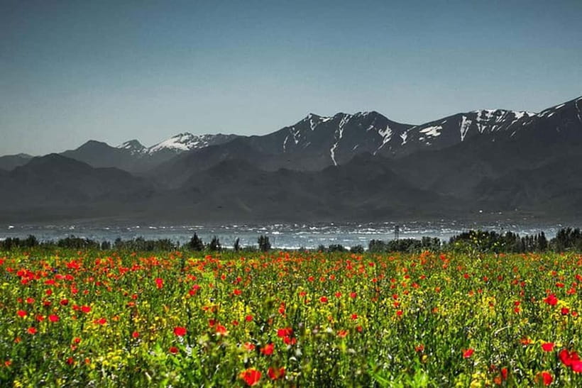 From Samarkand: Shahrisabz Day Trip & Mountain Pass Tour - Dorut-Tilavat connects monuments with memory