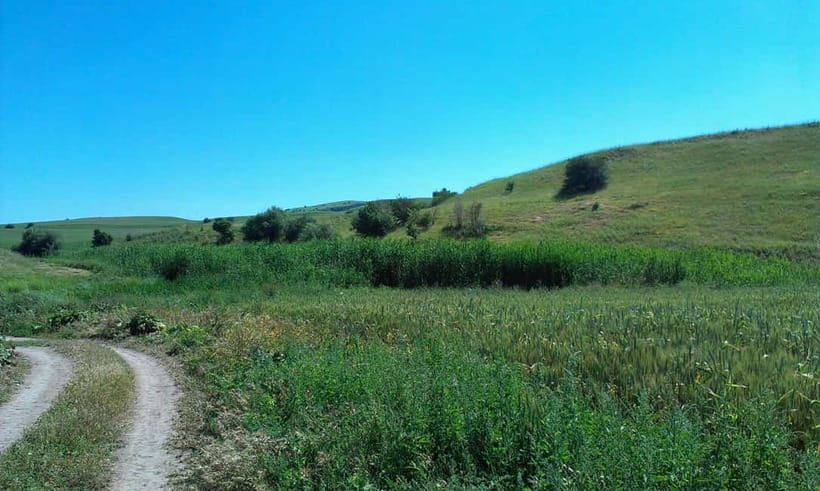 From Tashkent: Chimgan Valley Hiking Day Trip - The early ride from Tashkent to Chimgan