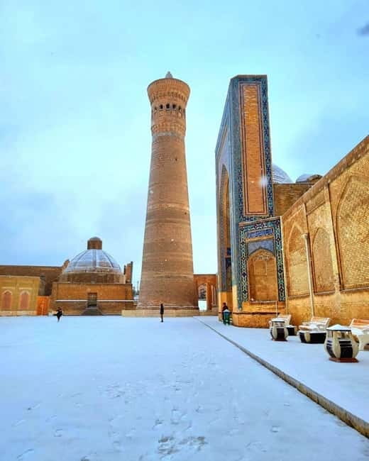 From Tashkent: Uzbekistan Private 6-Day Tour - Samarkand’s grand finale in one long day
