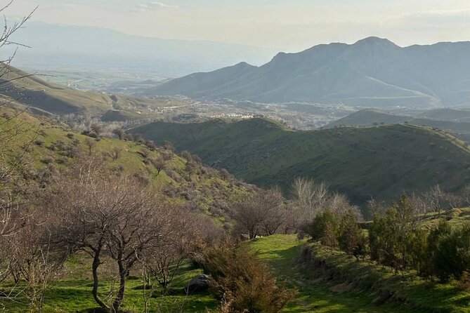 Full Day Private Tour to Fergana Valley from Tashkent - Why this long day can be worth your time