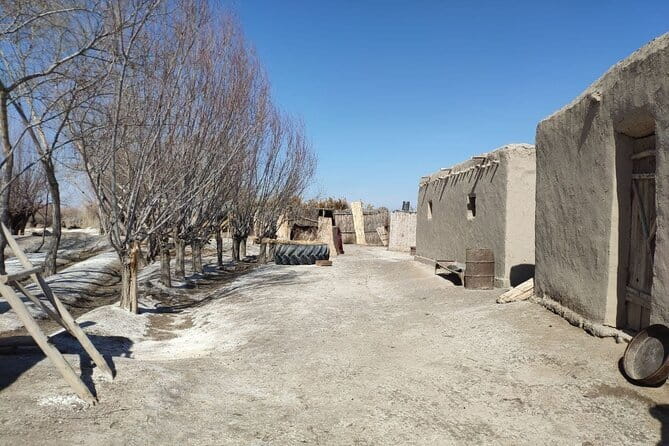 Karakalpak Heritage Tour to Chimbay and Khalkabad Villages - Uyshi Workshop: The Work Behind a Karakalpak Yurt