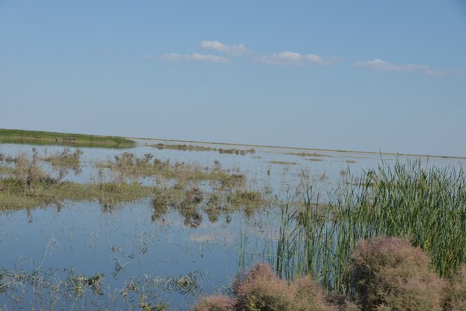 Kolkhoz: Private visit to the cotton farmers' village - A two-hour palov lunch in a local home