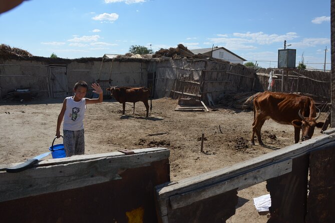 Kolkhoz: Private visit to the cotton farmers' village - Welcome tea and village hospitality around 10 a.m.