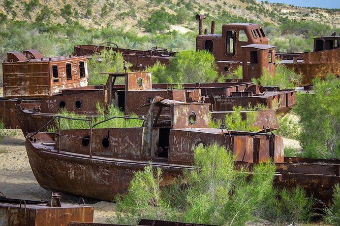 Muynak - "Ship Cemetery" Tour from Nukus - The Regional History and Aral Sea Museum