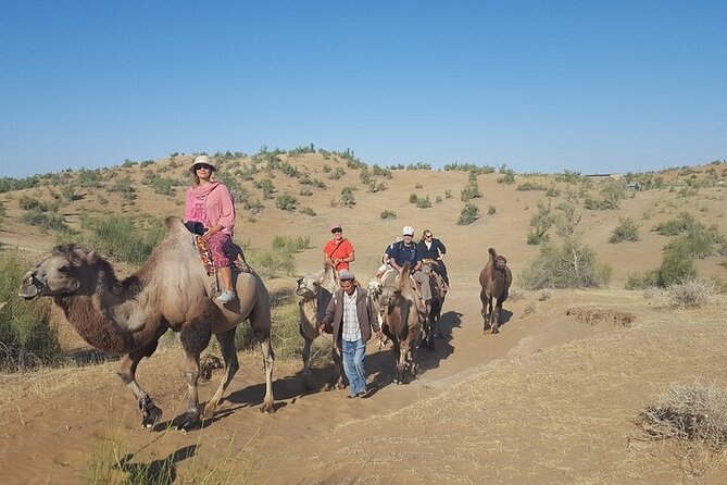 Nurata Mountain & Kyzyl-kum Desert 3 Day Tour From Samarkand or Bukhara - Five things that make this tour different