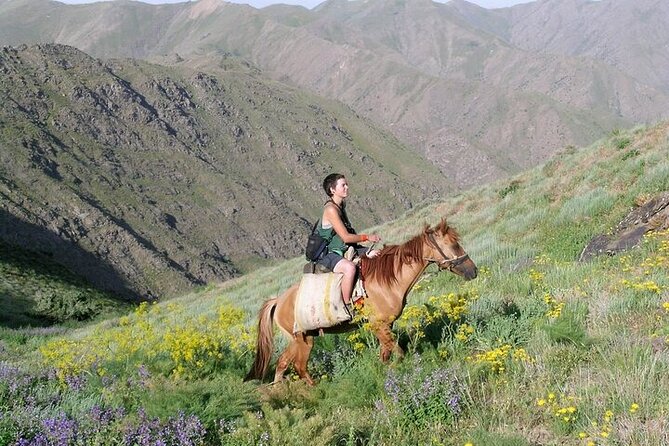 Nurata Mountain & Kyzyl-kum Desert 3 Day Tour From Samarkand or Bukhara - A desert camp brings camels, dunes, and Kazakh music