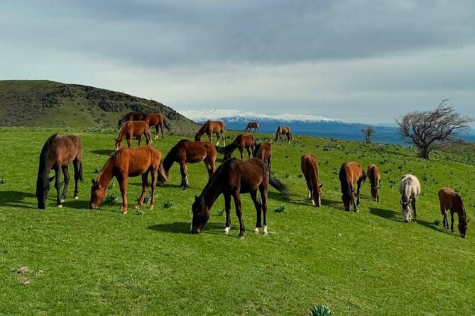 Nuratau Village Home Stay and Hiking tours from Bukhara - The long ride toward Samarkand