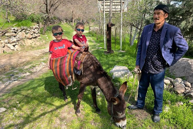 Nuratau Village Home Stay and Hiking tours from Bukhara - What the $165 price really buys