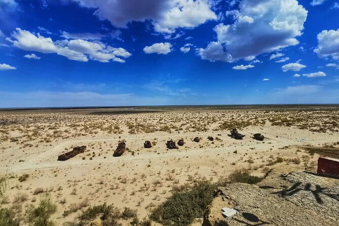 Private Daytrip to Muynak and Nukus - Muynak Regional Studies Museum: a small place with a large subject