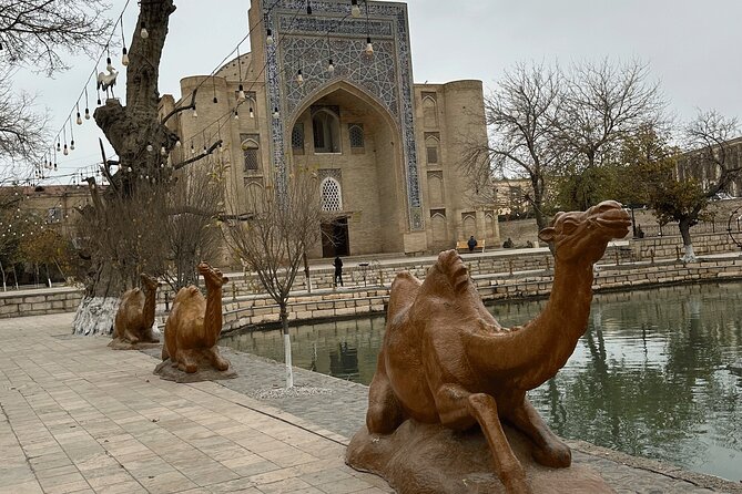 Private Tour in 3 top Places Outside of Bukhara City - Timing, pickup, and practical planning
