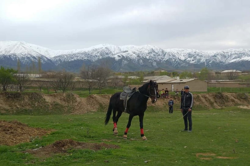 Samarkand: Uloq-Kopkari (Buzkashi) Game Day Tour - Why Uloq-Kopkari is worth leaving Samarkand for