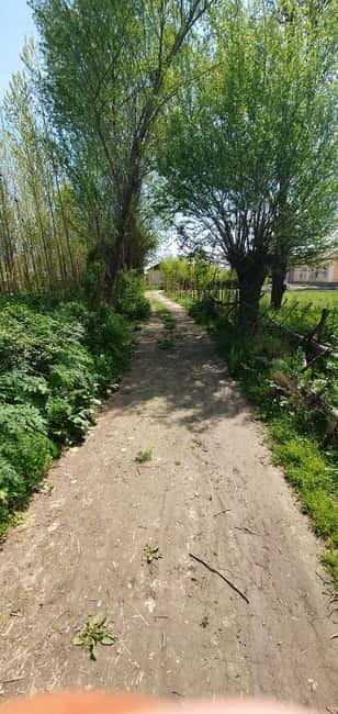 Samarkand: Village Tour with Plov Cooking Class & Home Visit - Why this day adds something different to Samarkand
