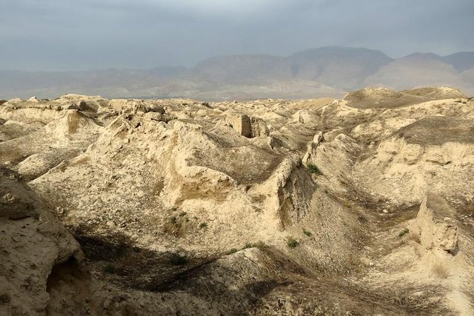 Seven Beauties Of Shing – Haftkol Tour From Samarkand - Central Bazaar: a quick look at ordinary Penjikent