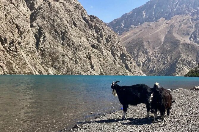 Seven Lakes Panjakent: One-Day Adventure from Samarkand - Is $100 per person good value?