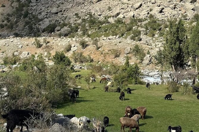 Tadjikistan 7 Lakes Day Trip from Samarkand with Lunch - Key points to know before you book