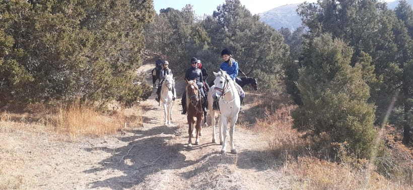 Tashkent: 3-Day Horseback Riding Tour in Chimgan Mountains - What $430 gets you in the Chimgan Mountains