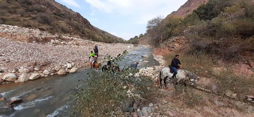 Tashkent: 3-Day Horseback Riding Tour in Chimgan Mountains - How the organization affects the experience
