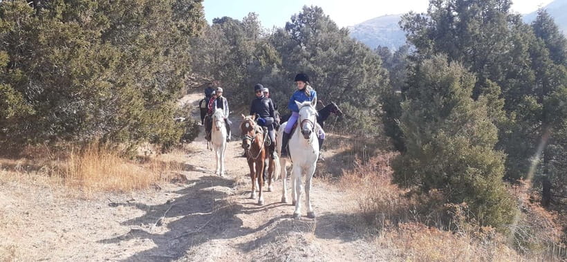 Tashkent: 3-Day Horseback Riding Tour in Chimgan Mountains - Leaving Tashkent for Aksai Valley