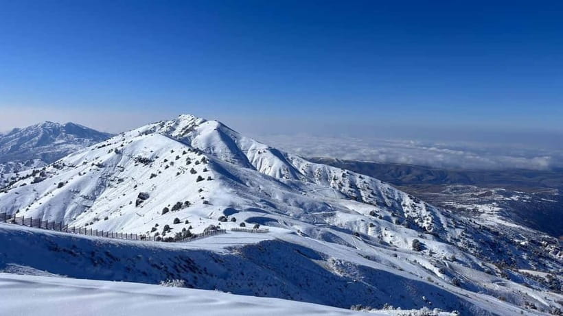 Tashkent Mountain Tour - Private or small group: choosing the right format
