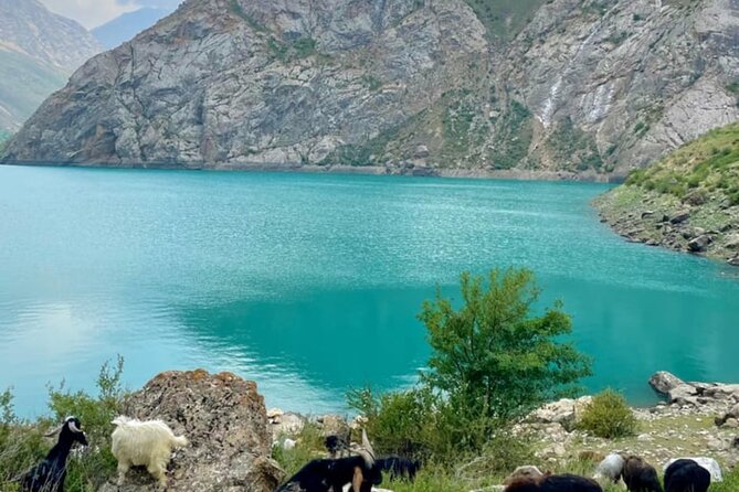 Tashkent Tour at Amirsoy, Chimgan Mountains and Charvak lake - Key points to know before you book