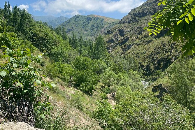 Tashkent Tour at Amirsoy, Chimgan Mountains and Charvak lake - The guides can shape the whole day