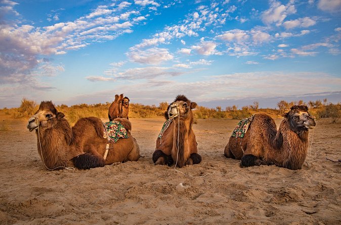 Transfer from Khiva to Bukhara by Fortresses - Who will enjoy this route most