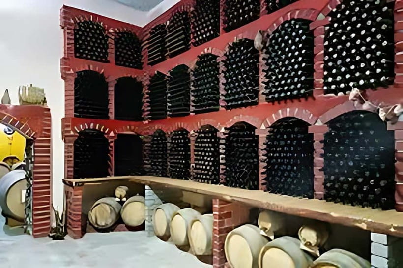 Wine tour in Samarkand (Baguizagan) English - Why Baguizagan adds something different to Samarkand