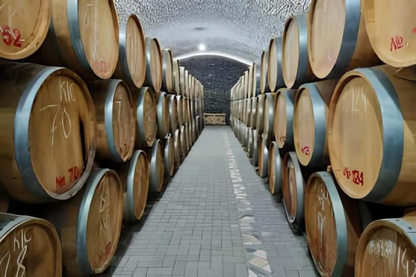 Wine tour in Samarkand (Baguizagan) English - Meeting winemakers and hearing the working story